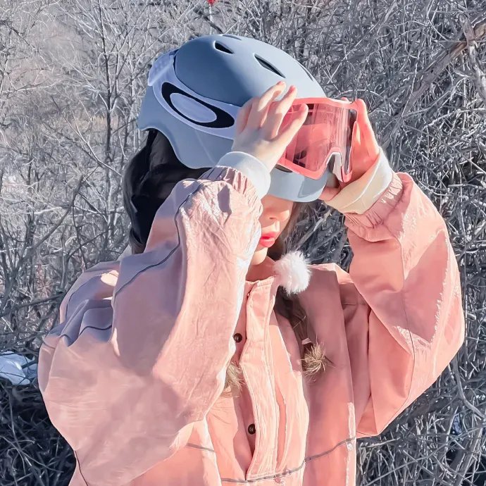 卧底费瑞的故事